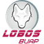 Lobos Puebla