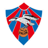 Valur Feminino