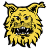 Ilves Tampere II