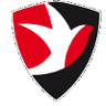 Cheltenham Town Feminino
