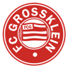 Grossklein