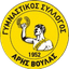 Aris Voulas FC