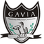 Gavia Choszczno