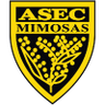 ASEC Mimosas Femenino