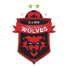 Wollongong Wolves Sub-20