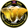 Young Elephants (Feminino)