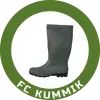 Kummik