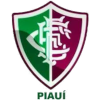 Fluminense PI Juvenil