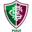 Fluminense PI Juvenil