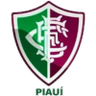 Fluminense PI Juvenil
