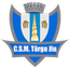 CSM Târgu Jiu