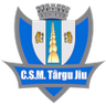 CSM Târgu Jiu