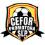 Cefor Promotora San Luis