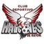CD Halcones de Rayón