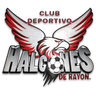 CD Halcones de Rayón
