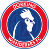 Dorking Wanderers (f)