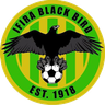 Ifira Black Bird