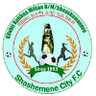 Shashemene Ketema
