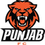 Minerva Punjab