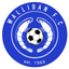 Wallidan FC