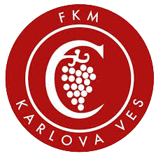Karlova Ves Sub-19