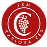 Karlova Ves Sub-19