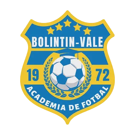 Bolintin Vale