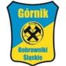 Górnik Bobrowniki Śląskie