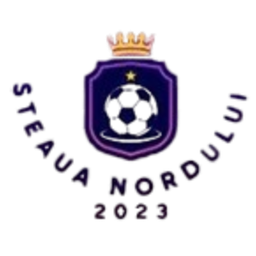 Steaua Nordului