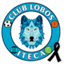 Lobos ITECA