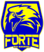 Forte Rio Bananal