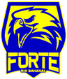 Forte Rio Bananal