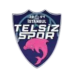 Telsizspor Femenino