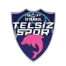 Telsizspor (F)