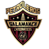 Club Petroleros de Salamanca