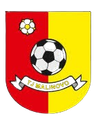 TJ Malinovo