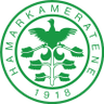 HamKam Feminino