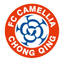 Chongqing Dikai