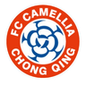 Chongqing Dikai