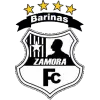 Zamora II