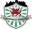 Sport in Caerphilly