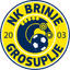 Brinje Grosuplje Sub-19