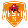 Foshan Sports Feminino