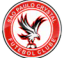 Sao Paulo Crystal FC