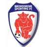 Bromsgrove Sporting FC