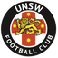 UNSW FC Feminino