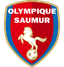 Saumur OL