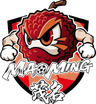 Equipa de Maoming