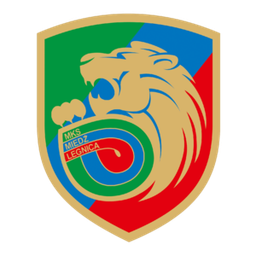 Miedź Legnica Juvenis
