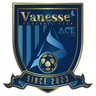 Sejong Vanesse FC